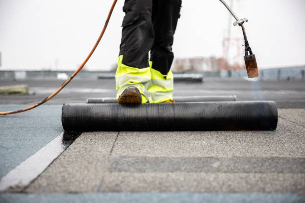 Best Asphalt Shingles Roofing  in Corry, PA